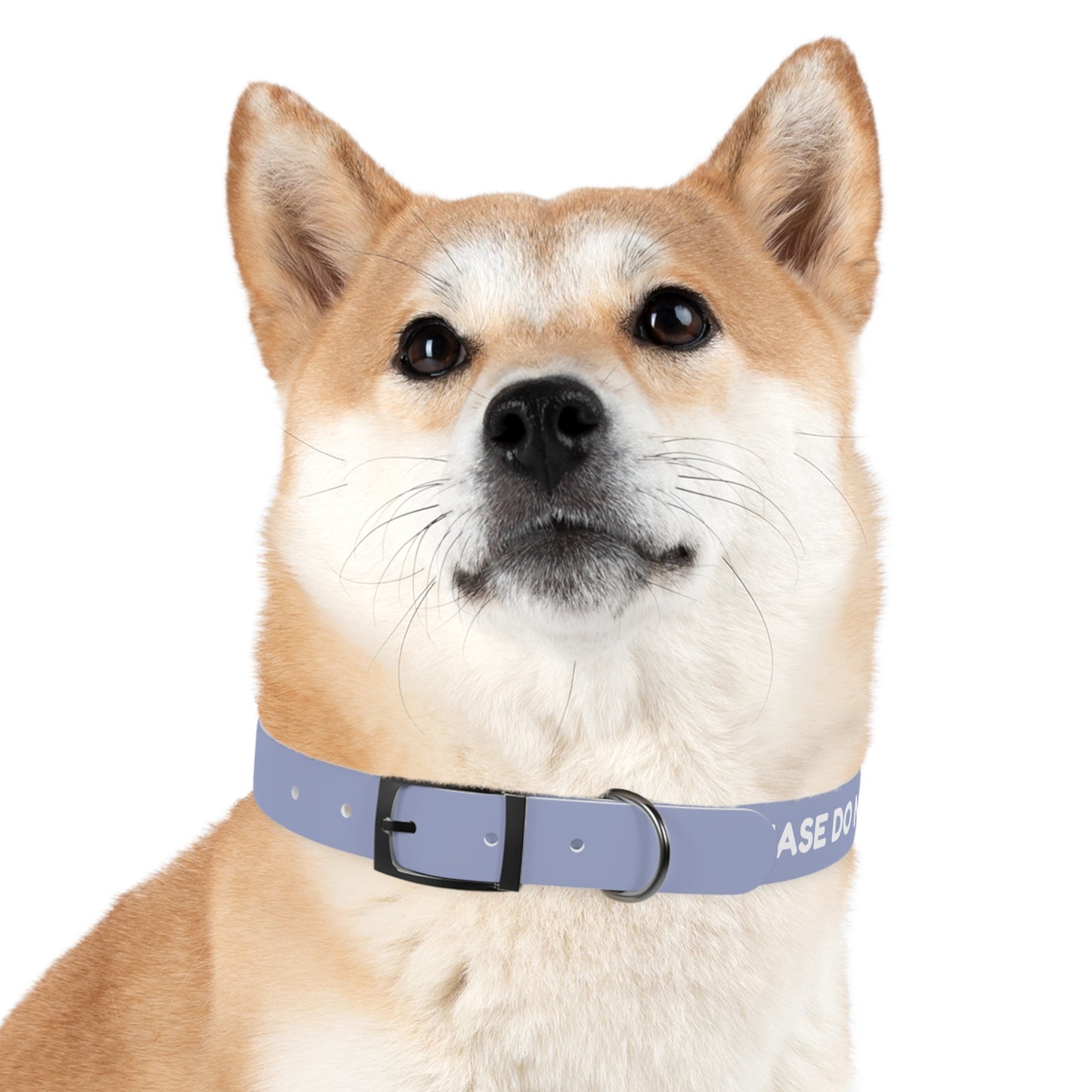 The "Please Don't Pick Me Up" Dog Collar
