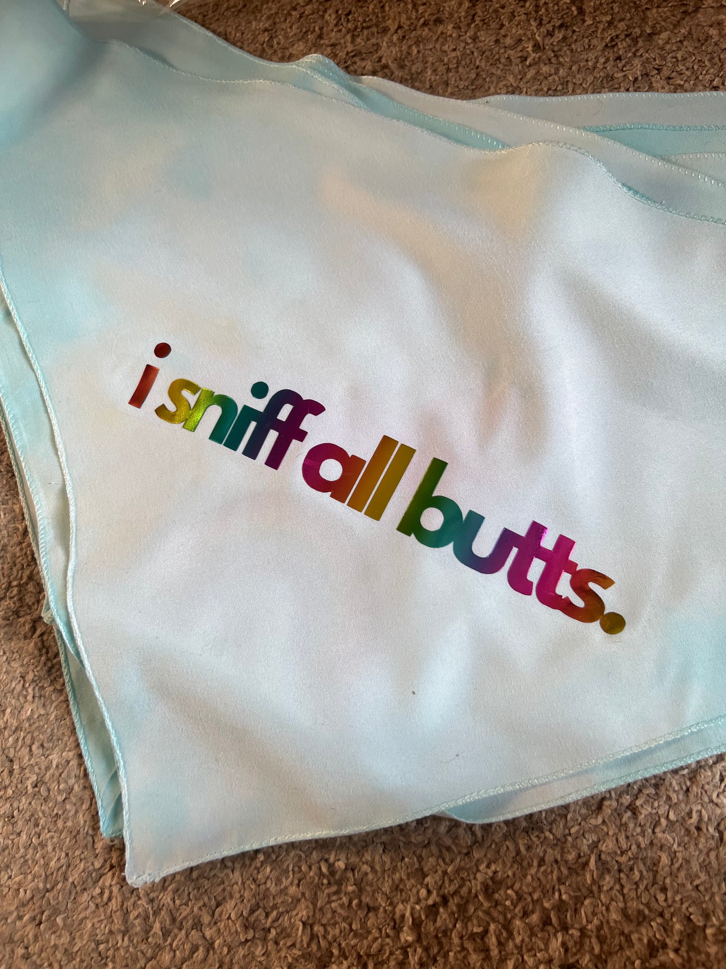 The “i sniff all butts” Pride Bandana!
